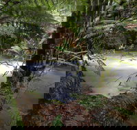 Marriotts Falls and Junee Caves - Hotel WA