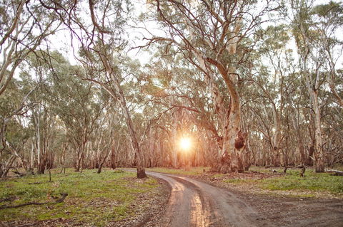Nyah Vinifera Park - Hotel WA 1