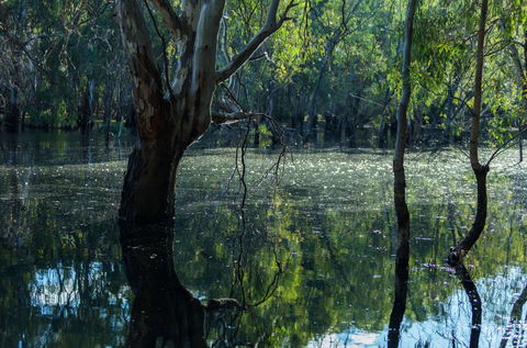 Nyah Vinifera Park - Hotel WA 2