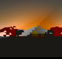 Outback Pony Rides Farm Experience - Hotel WA