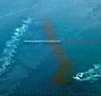 Port Noarlunga Reef Sanctuary Zone - Encounter Marine Park - Hotel WA