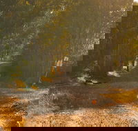 Raysource Road - Hotel WA