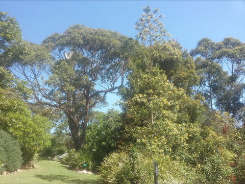 Shoalhaven Heads Native Botanic Garden - Hotel WA 1