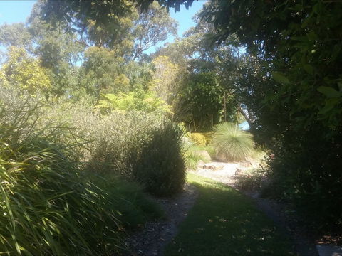 Shoalhaven Heads Native Botanic Garden - Hotel WA 2