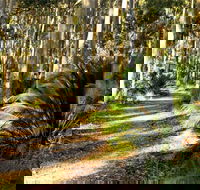 Square Head Track 2 - Hotel WA