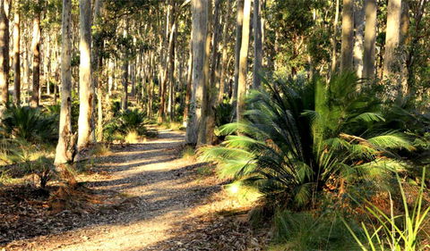 Square Head Track 2 - Hotel WA 0