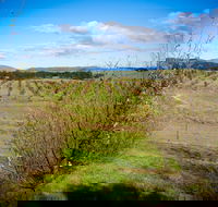 Tarago Truffles - Hotel WA