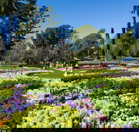 Toowoomba - Hotel WA