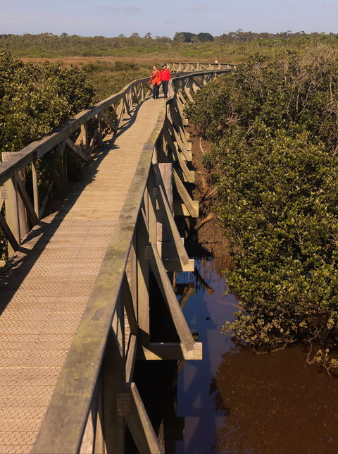 Warringine Park & Bittern Coastal Wetlands Boardwalk - Hotel WA 0