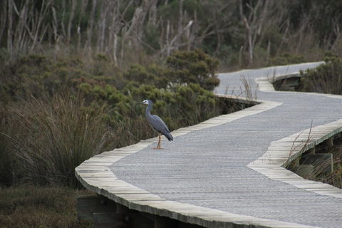 Warringine Park & Bittern Coastal Wetlands Boardwalk - Hotel WA 1