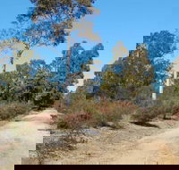 Werakata National Park - Hotel WA