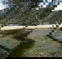 Bombala Platypus Reserve - Hotel WA