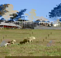 Calmsley Hill City Farm - Hotel WA