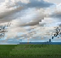 Clare Valley - Hotel WA