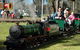 Corowa Apex Miniature Steam Train - thumb 0