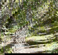 Euglah Rock Walking Track - Hotel WA