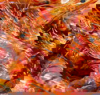 Fish and Fowl - Hotel WA