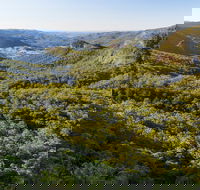 Gold Coast Hinterland Great Walk - Hotel WA