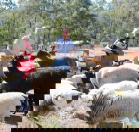 Haigslea EWE Nique Hobby Farm - Hotel WA