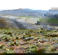 Horseshoe Rim 4WD Adventure Track - Hotel WA