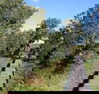 Kepwari Trails Wetland Wonderland - Hotel WA