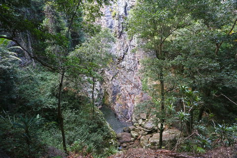 Kondalilla Falls Circuit, Kondalilla National Park - Hotel WA 0