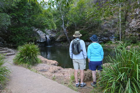 Kondalilla Falls Circuit, Kondalilla National Park - Hotel WA 1