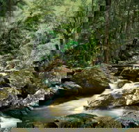 Maleny - Hotel WA