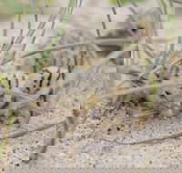 Manning Entrance State Park - Hotel WA