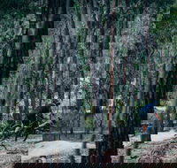 Old Tambo Downhill Mountain Bike Track - Hotel WA