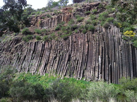 Organ Pipes National Park - Hotel WA 1