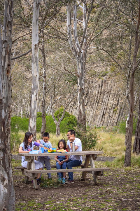 Organ Pipes National Park - Hotel WA 2