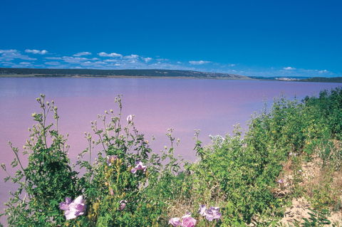 Port Gregory - Hotel WA 0