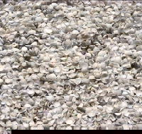 Shell Beach - Hotel WA