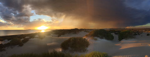 Shelly Beach Dune Walk Trail - Hotel WA 2
