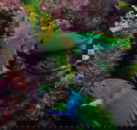 Sunshine Reef - Hotel WA