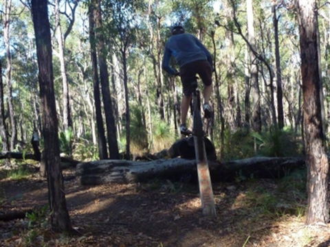 Turner Hill Mountain Bike Trail, Murray - Hotel WA 1