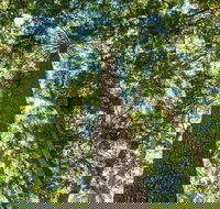 Big Sky National Parks - Hotel WA