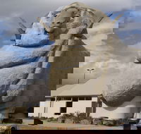 Big Merino - Hotel WA