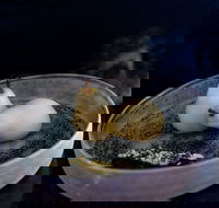 Bronwyn Clarke Ceramics - Hotel WA