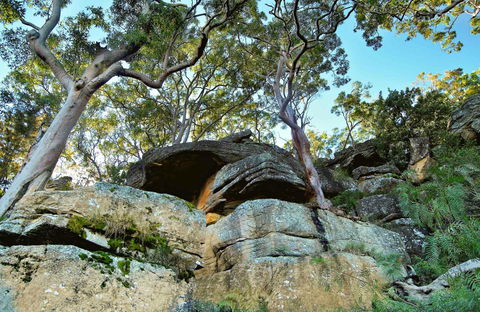 Burrawang Reach Picnic Area - Hotel WA 0