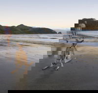 Cape Hillsborough National Park - Hotel WA