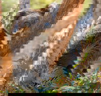 Cleland Wildlife Park - Hotel WA