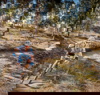 Cycle Mogo State Forest - Hotel WA