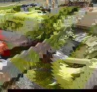 Dardanup Heritage Park - Hotel WA