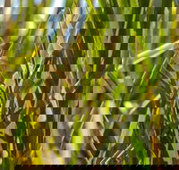 De Kerrilleau picnic area - Hotel WA