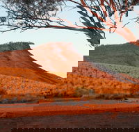 Dutchman Stern Conservation Park Trail - Hotel WA