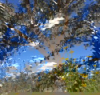 Euroa Arboretum - Hotel WA