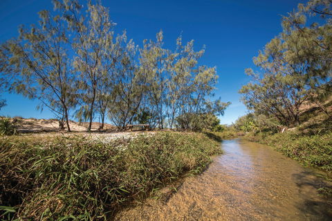 Freshwater Creek Track, Byfield National Park - Hotel WA 0