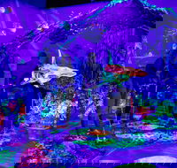 Glowing Rooms 3D Mini Golf - Hotel WA